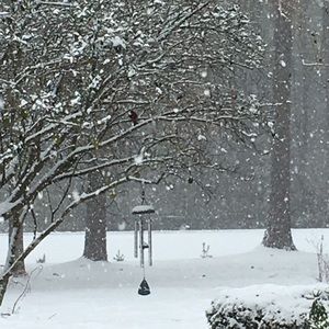 Meet your Posher, Teresa